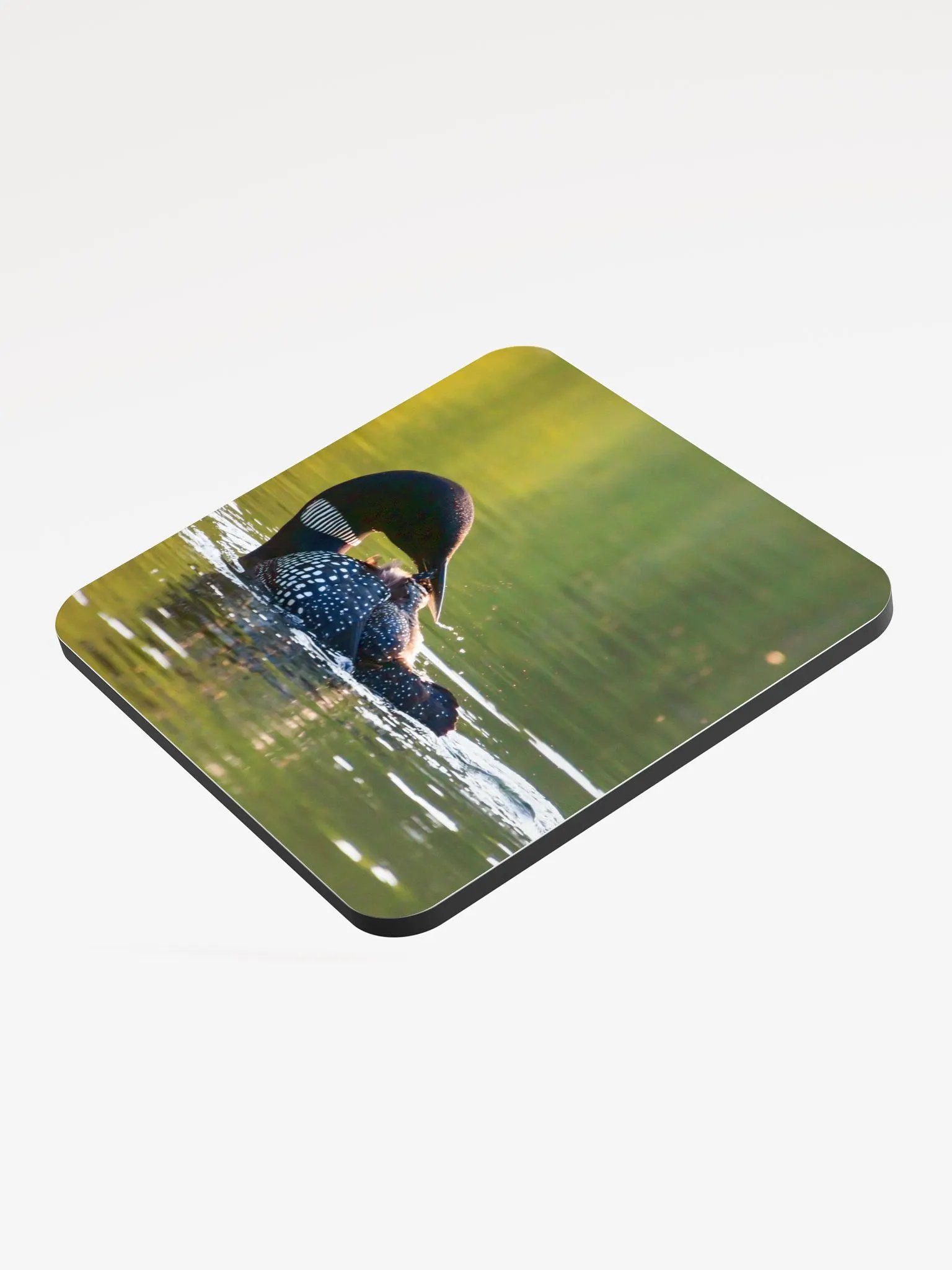 Preening (B) Coaster product image (3)