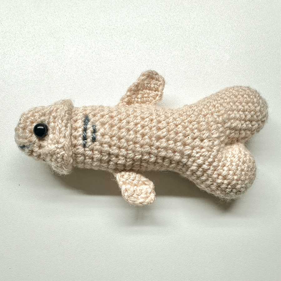 Made to Order : Boner Shark product image (2)