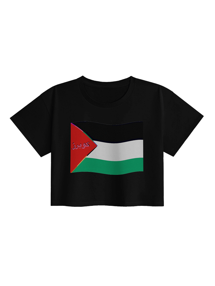 Queer Palestinian Pride Women's Crop Top product image (1)