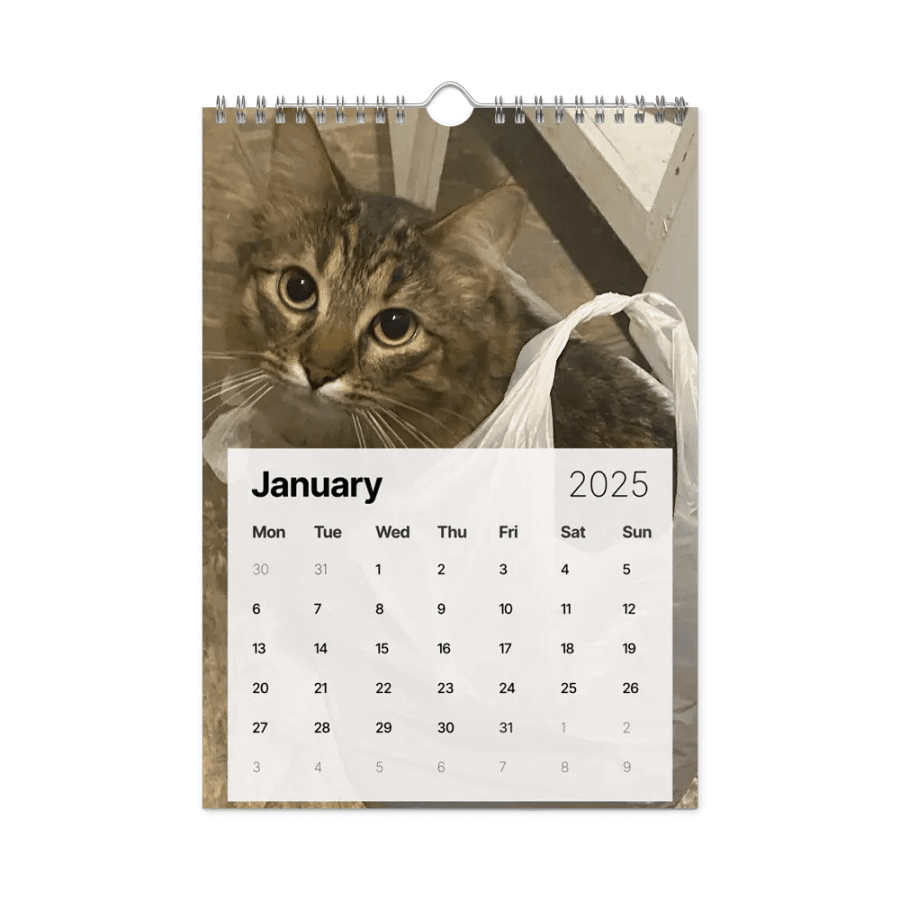 Gwen and Dia Calendar 2025 product image (6)
