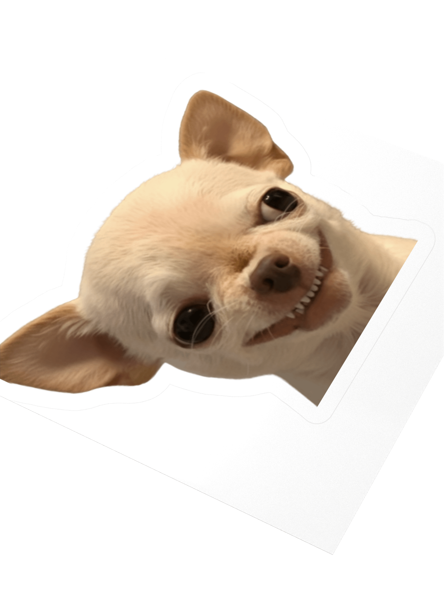 Evil Dog Sticker product image (8)