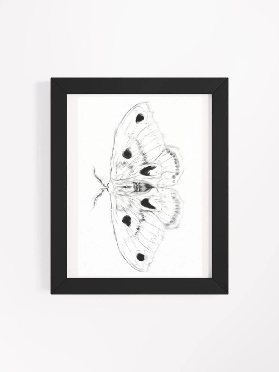 Cecropia Moth Print product image (15)