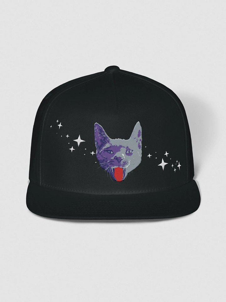 Cosmic Kitten snapback product image (1)