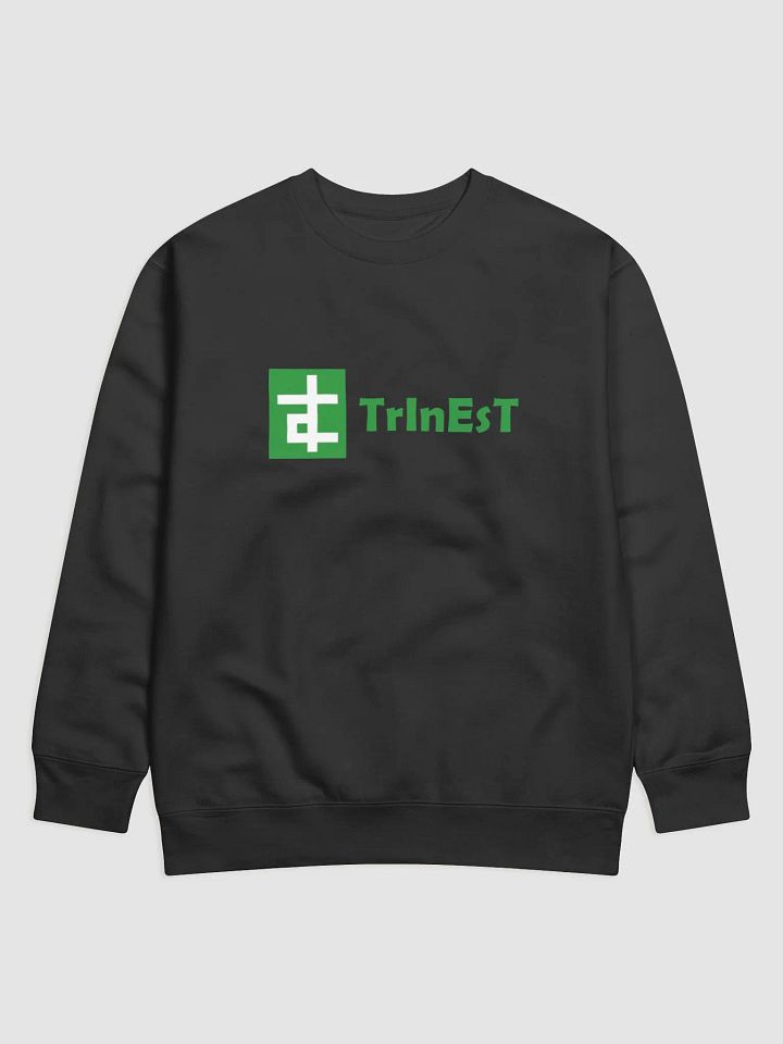 Logo Jumper product image (1)