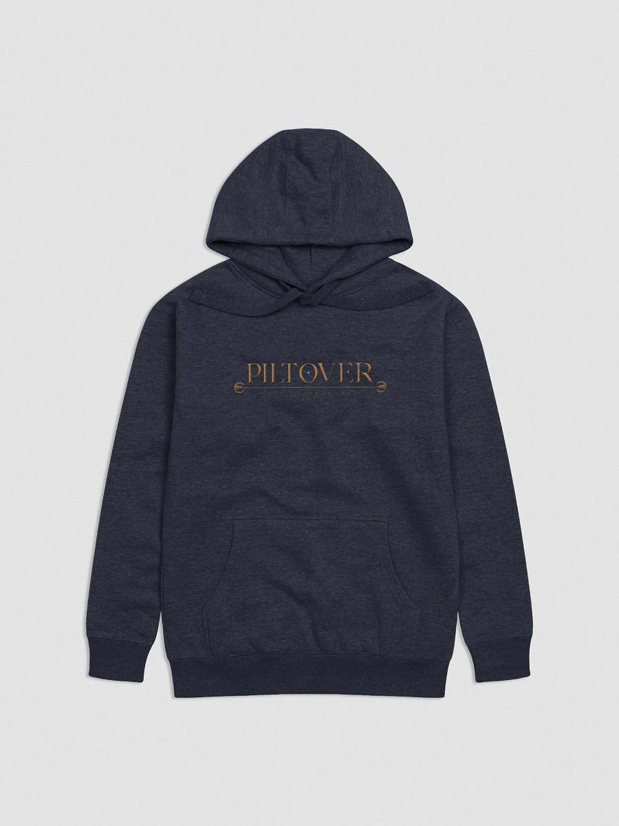 City Of Progress - Embroidered Hoodie product image (3)