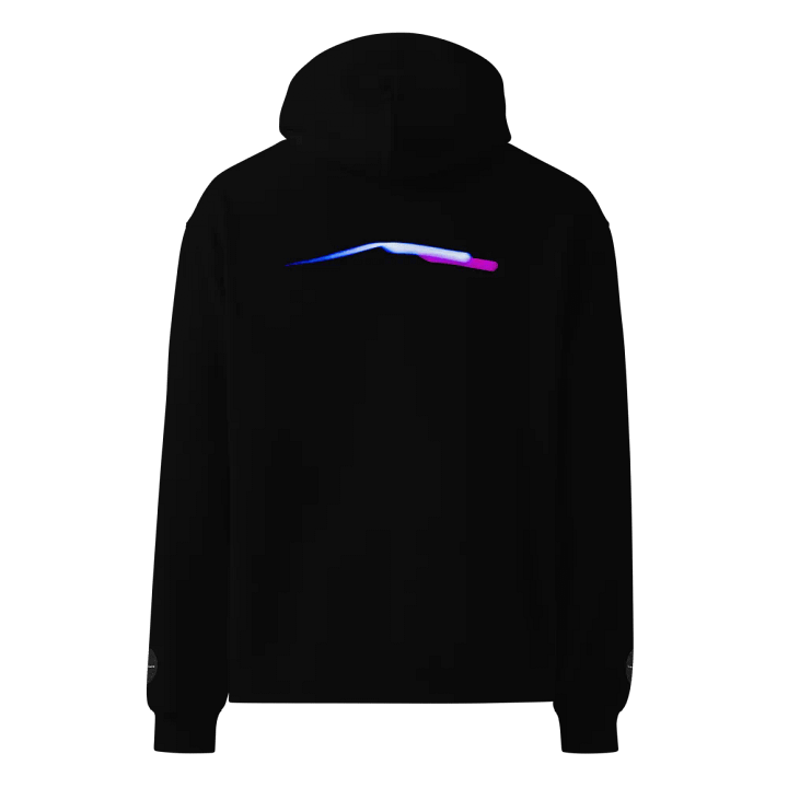 SOLUS EDITION - Embroidered Hoodie product image (1)