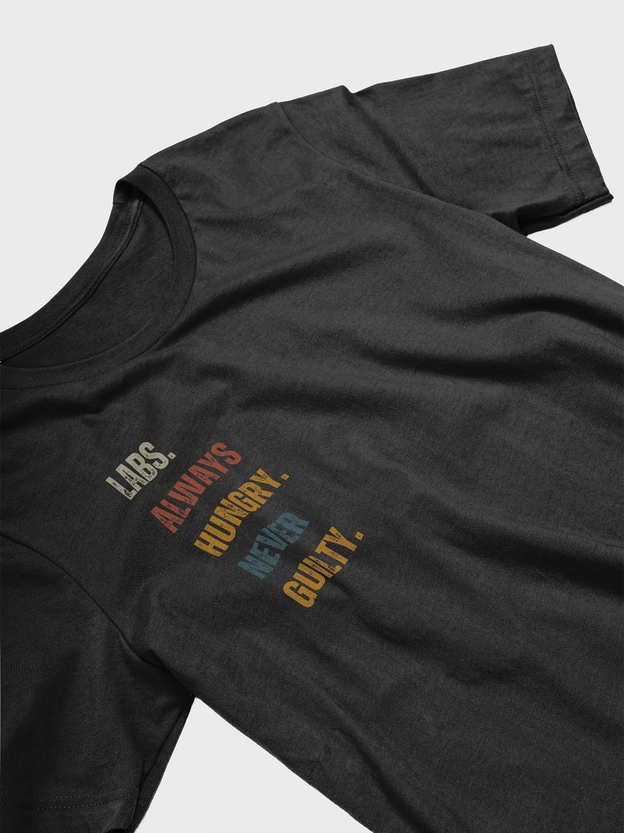 Labs Always Hungry T-Shirt product image (10)
