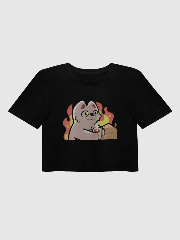This is Fine Crop Top product image (4)