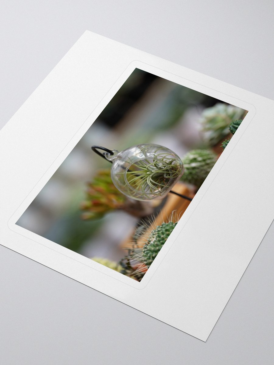 Suspended Air Plant Terrarium Sticker Set product image (3)