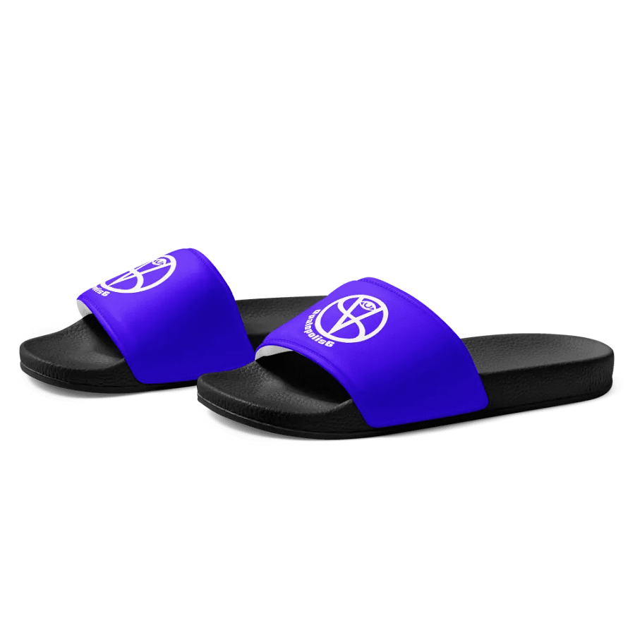 O.P. Spirit | Men's Slides product image (6)