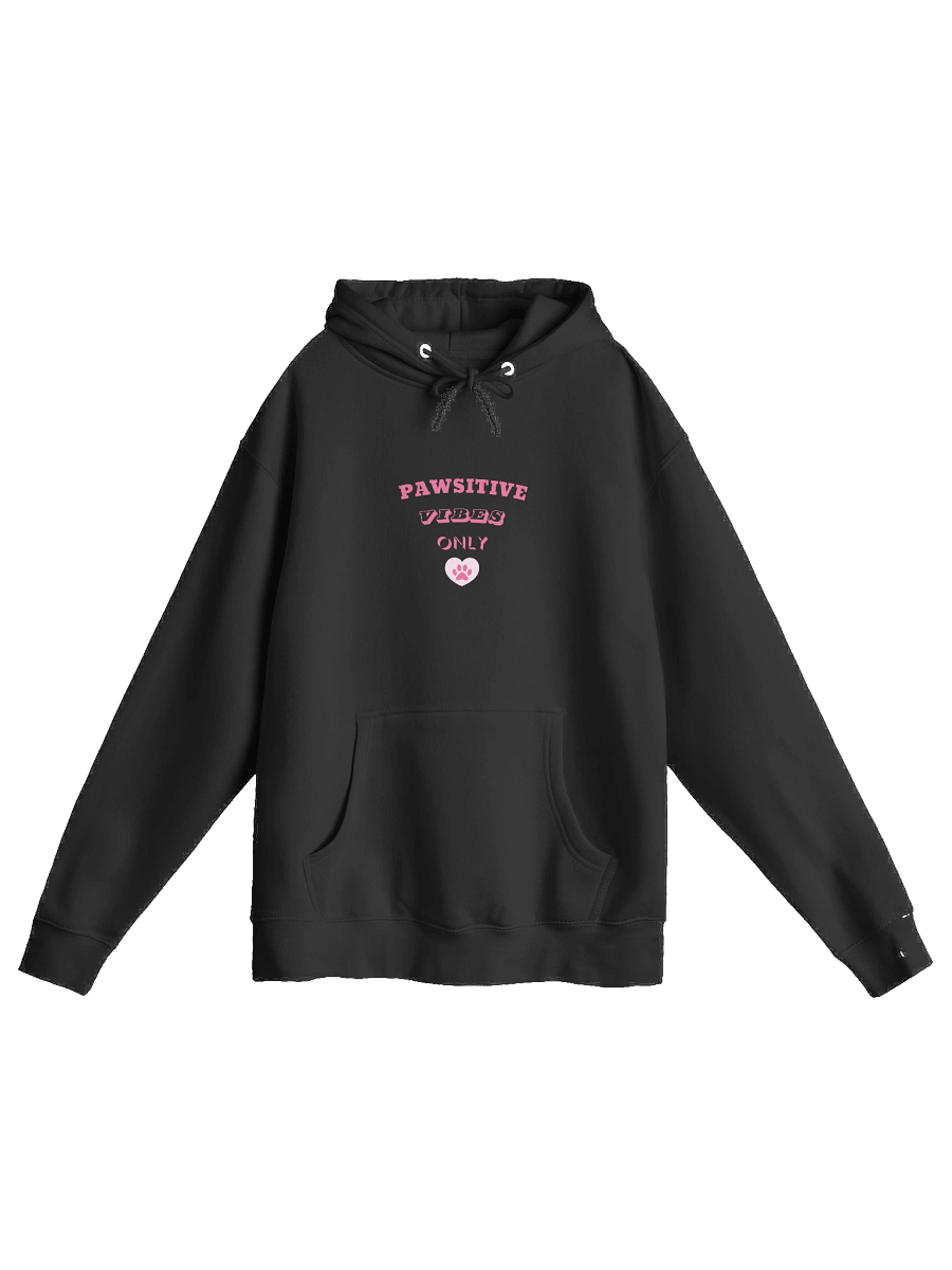 Pawsitive Vibes Only - Mood Hoodie | Vixelle product image (1)