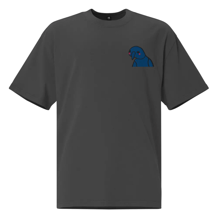 BlushSki Embroided Oversized Tee product image (1)