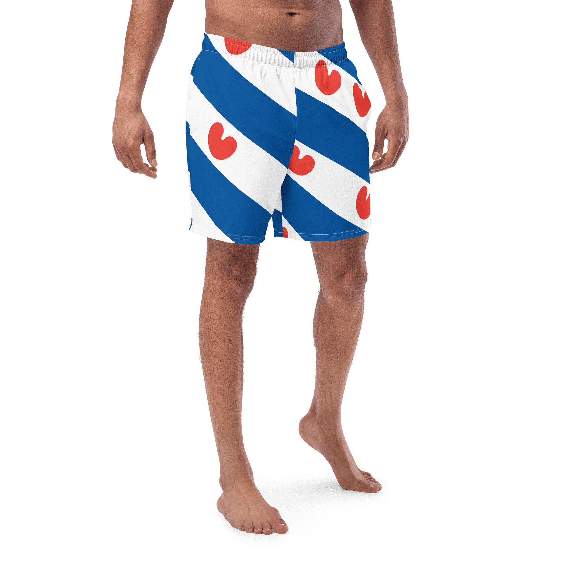 Fryslân - Swim Trunks product image (1)