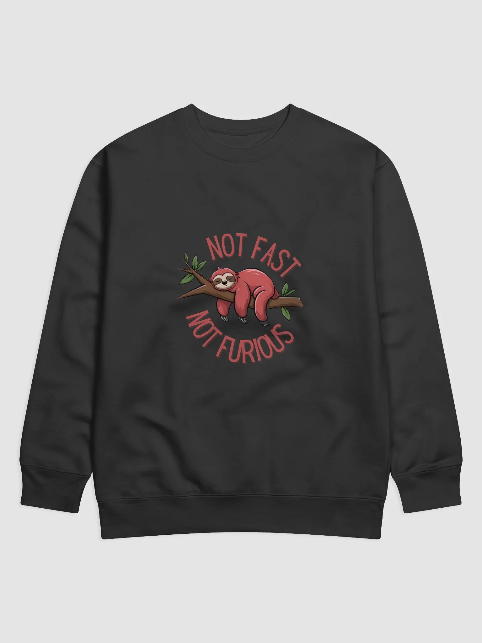 Not Fast Not Furious Sloth Hoodie product image (1)