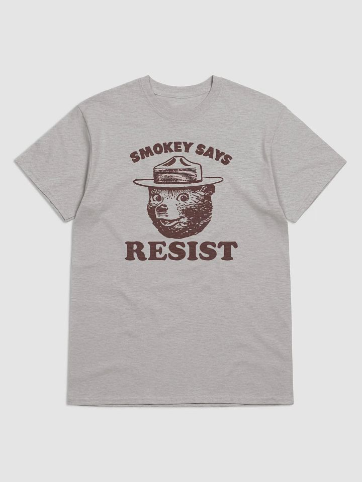 Smokey Says RESIST! Heavyweight Alt National Parks Bear T-Shirt product image (1)