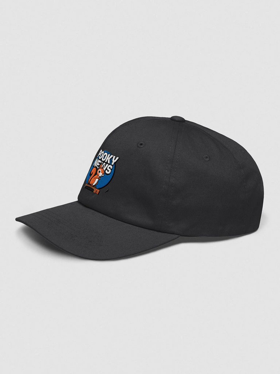 Baseball Hat Embroidered: Pooky News product image (3)