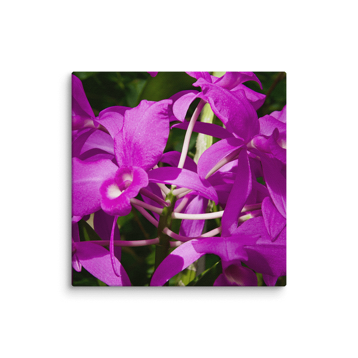 Purple product image (29)