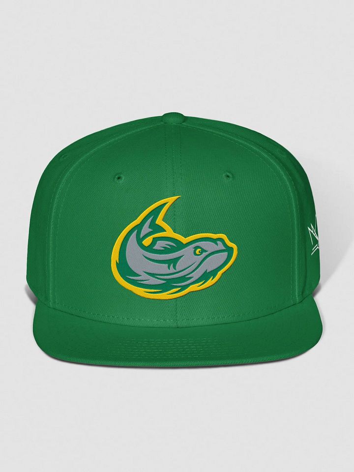 Mississippi Mudcats Gridiron Clothing Snapback Hat product image (1)