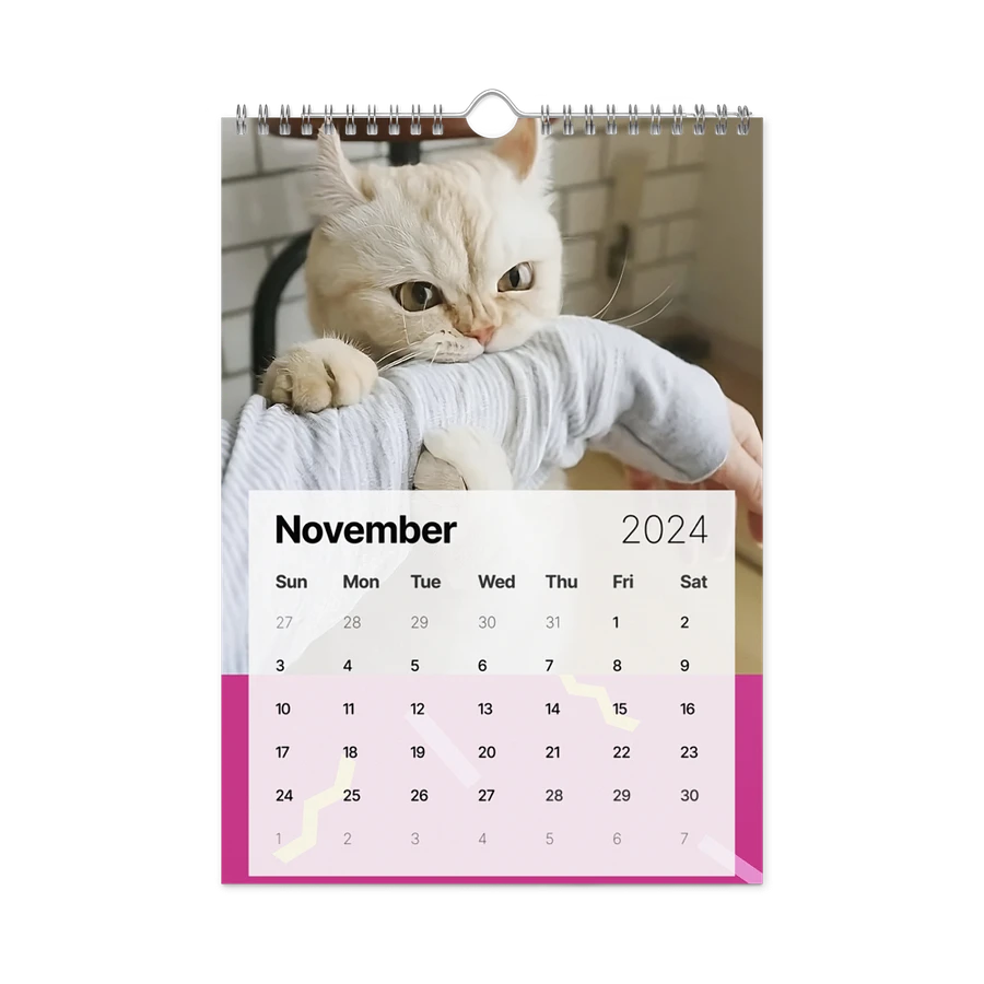 Wall Calendar (2024): Meme Cats product image (15)