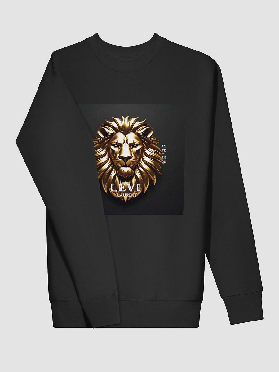 SWEATER product image (3)