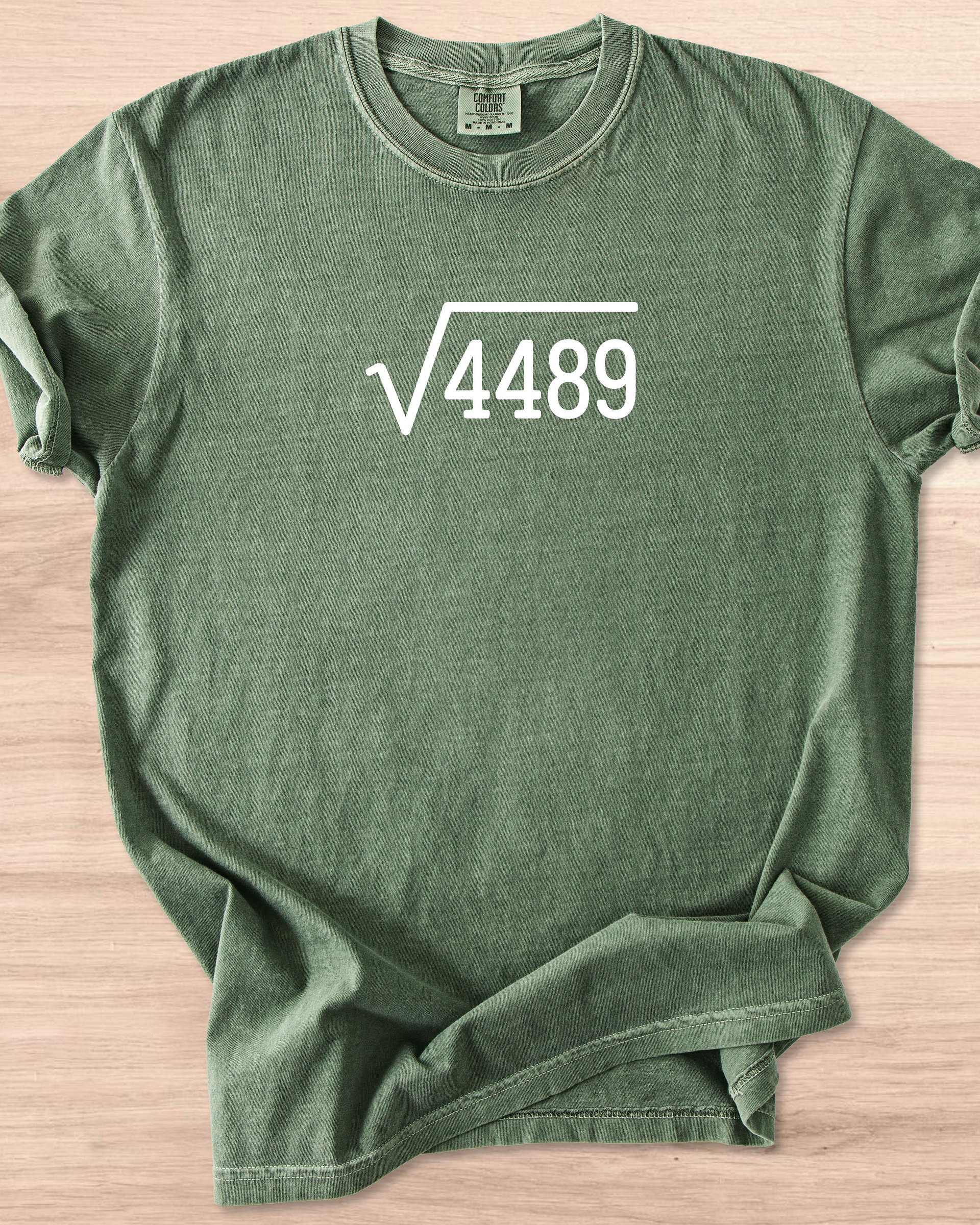 67 (Six Seven Root) Tee product image (5)