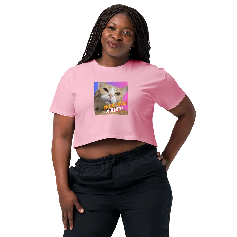 Moxie Bi-Pride Crop Top Tee product image (39)