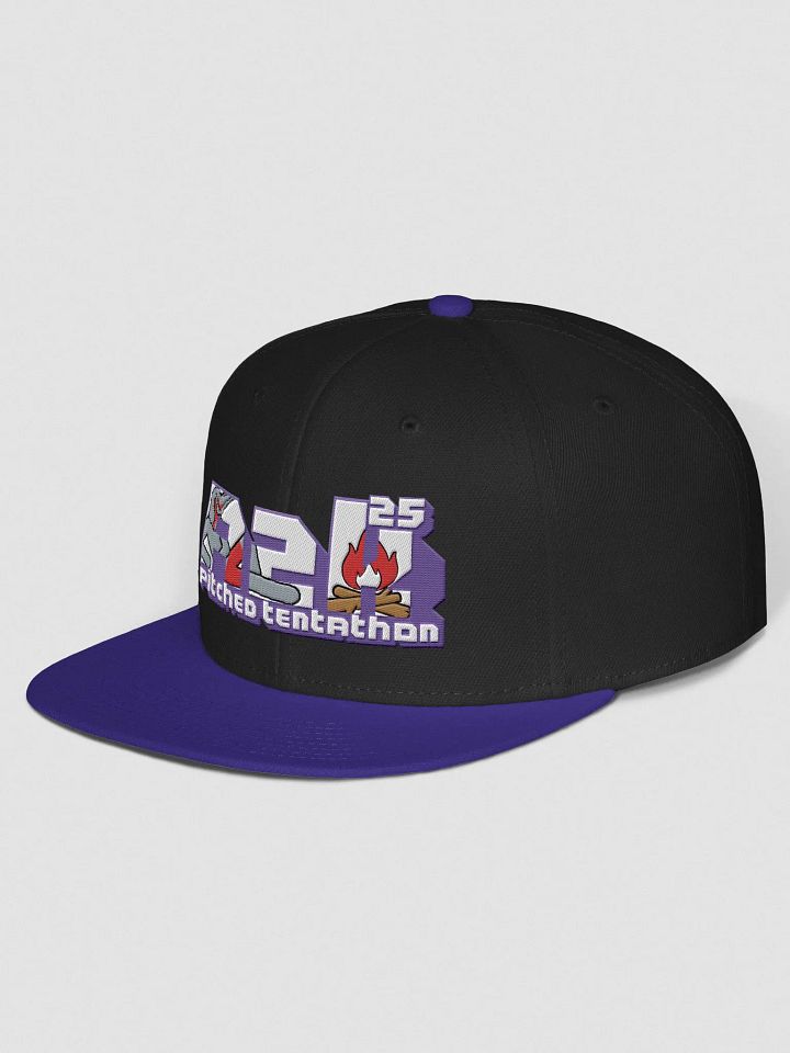 a2kPitched (Purple)- Otto product image (2)