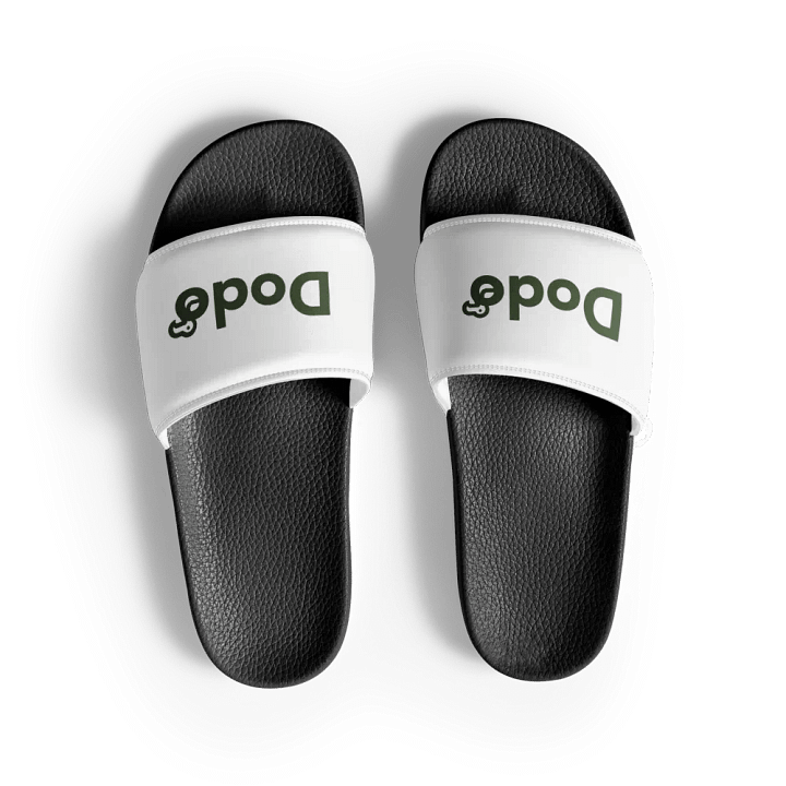 Dodo Slides product image (1)