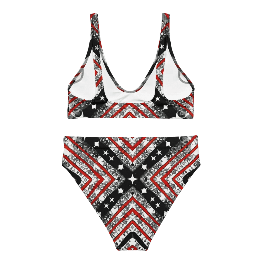 Black/Silver and Stripes Bikini product image (2)
