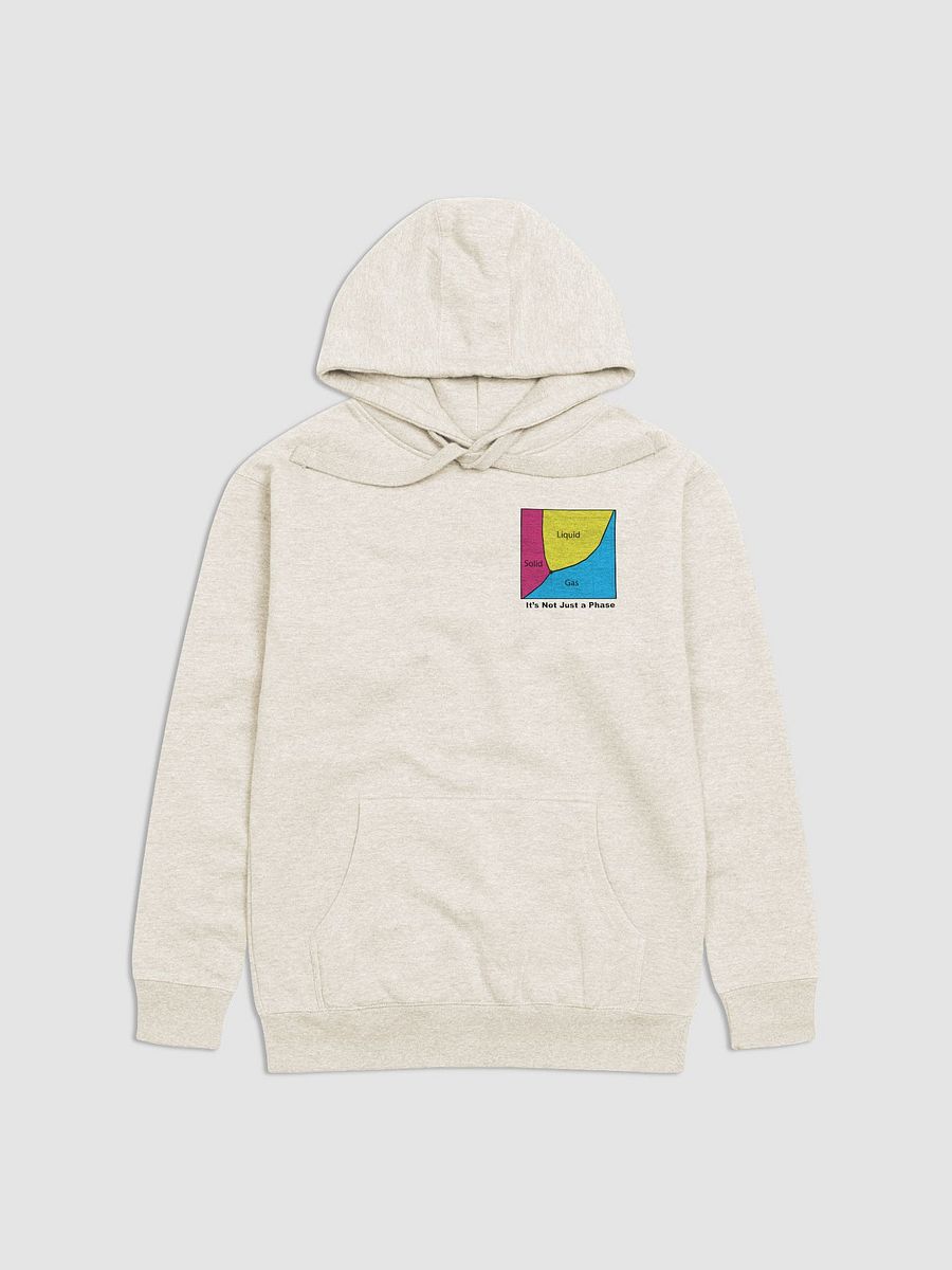 It's Not Just a Phase- Pan Sweatshirt product image (1)