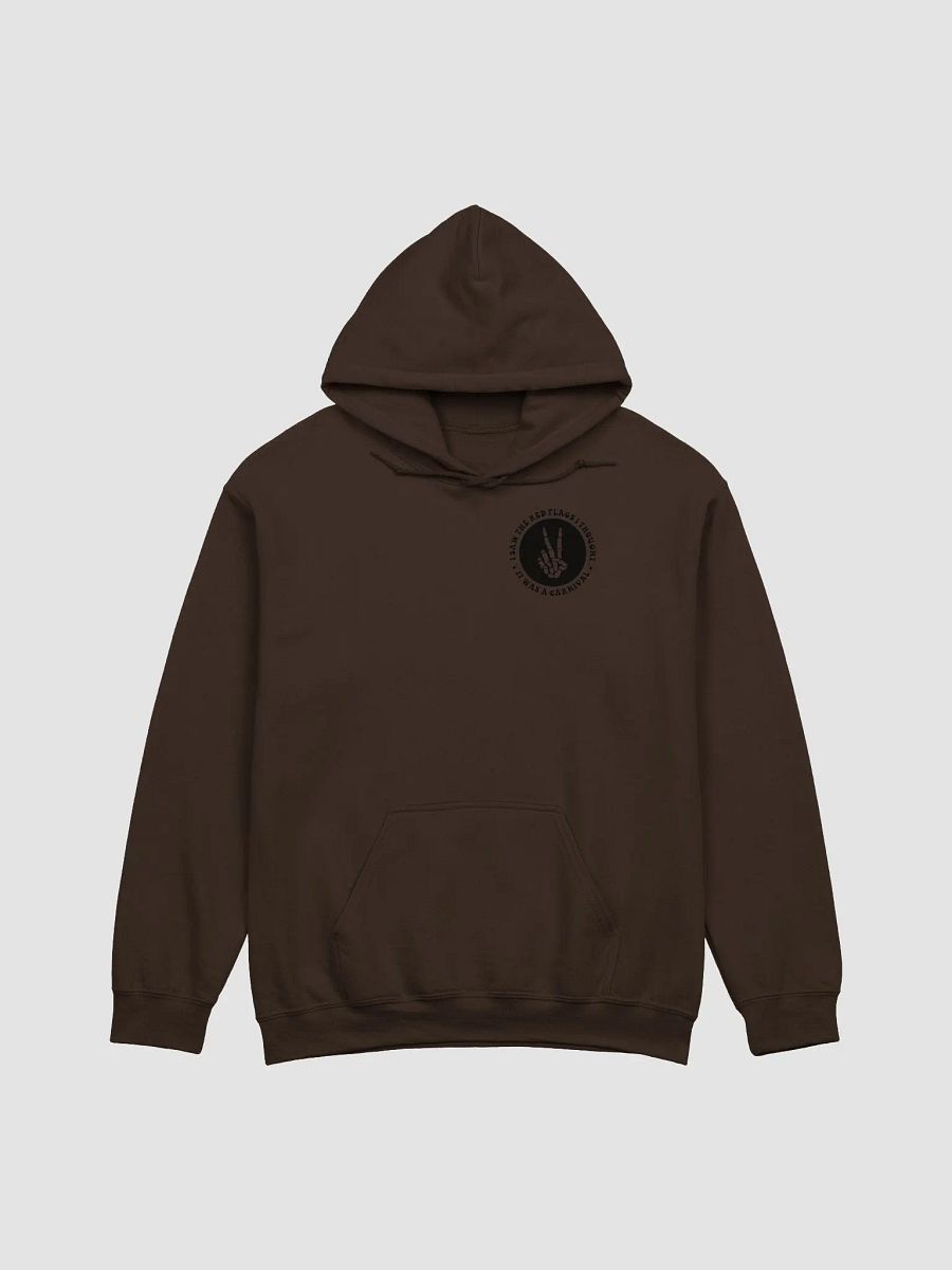 Red Flags Hoodie product image (5)