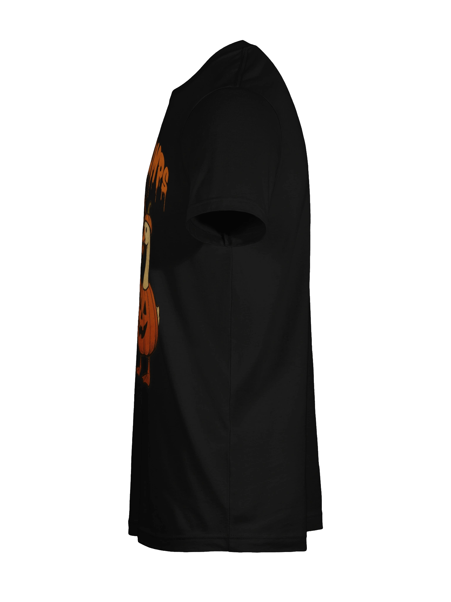 Goose Bumps 2025 Classic Tee product image (11)