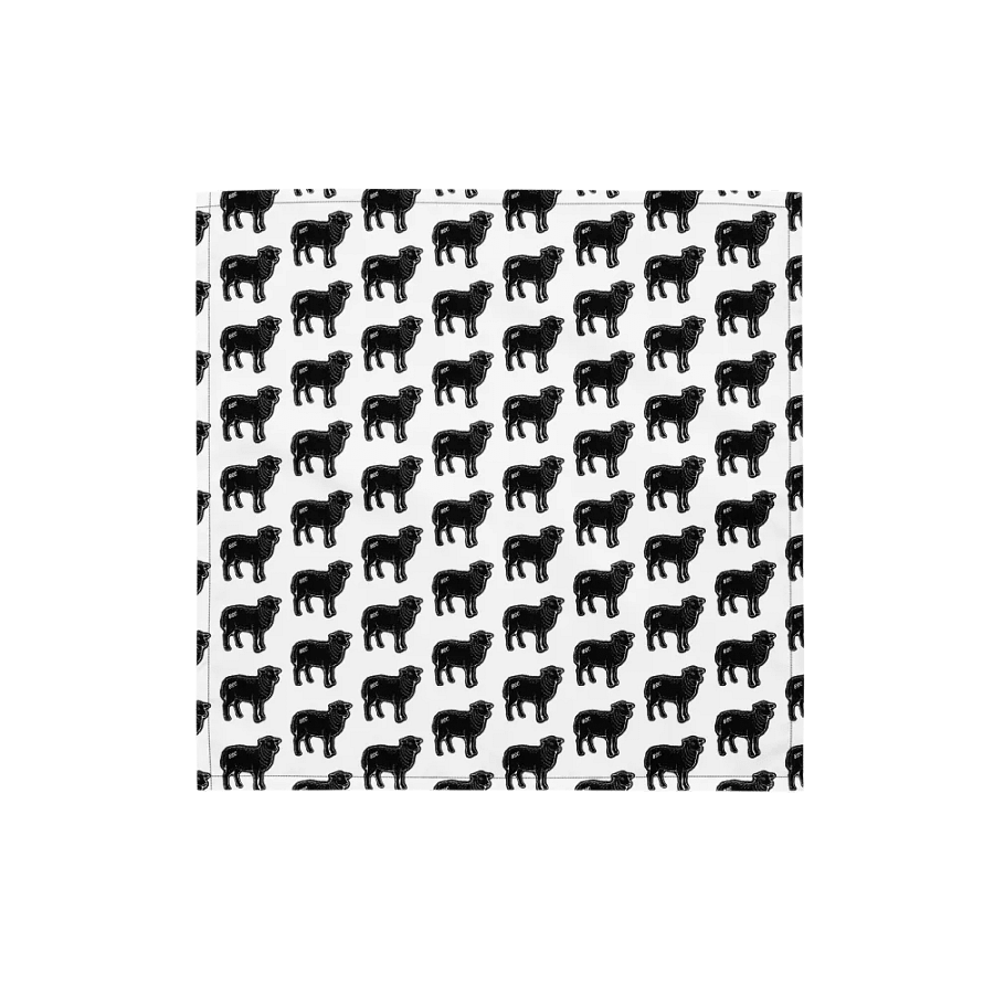 BS Bandana product image (1)