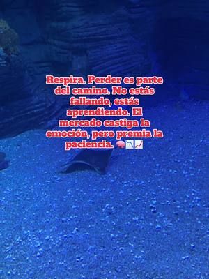 Respira, aprende, gana #trading #fyp #ty #sigueme #emprendimiento #crecimientopersonal #motivacion 