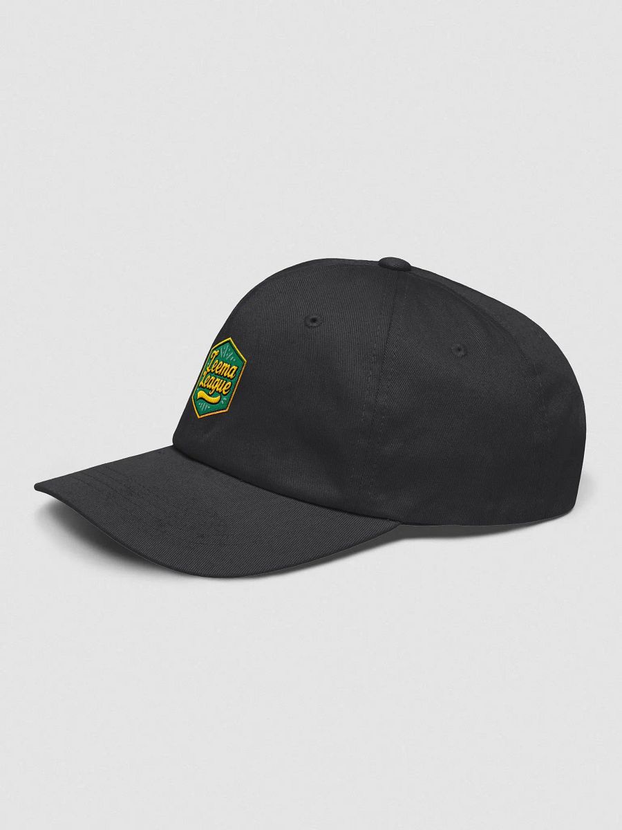 LL Patch Dad Hat product image (21)