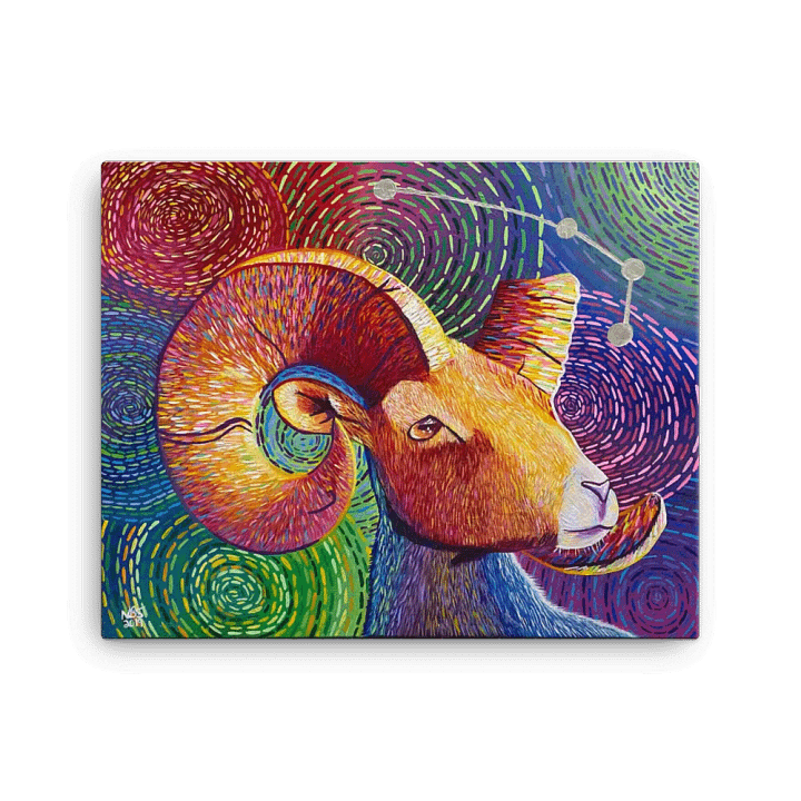 Aries Aurora product image (1)