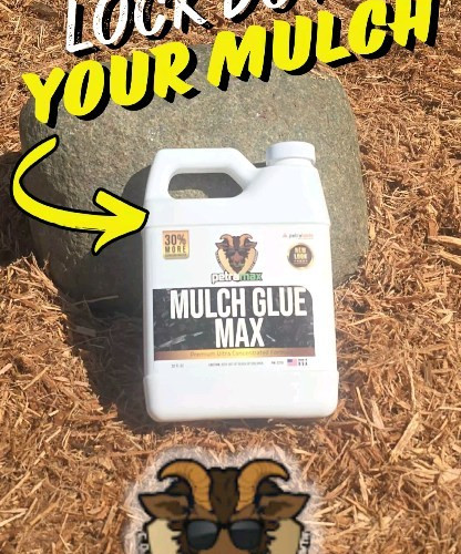 I Tried Petra's New & Improved MULCH GLUE MAX: RESULTS

In this video, I test out Petra's latest product, the New & Improved ...