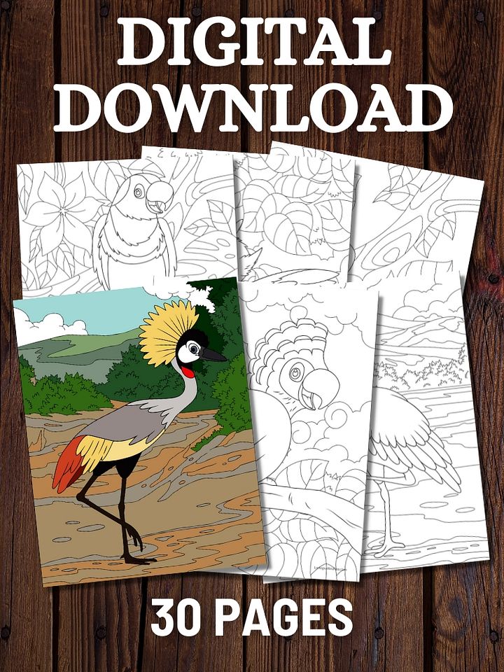 Tropical Birds Printable Coloring Pages product image (1)