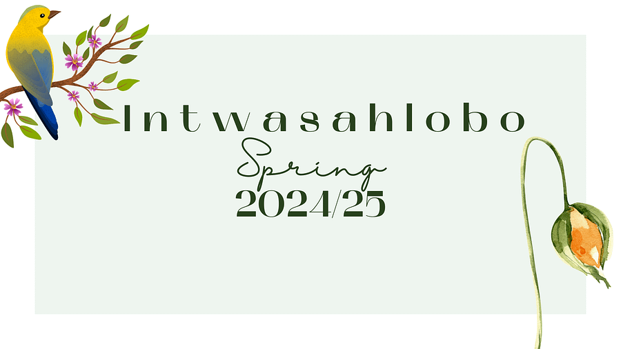 African Calendar 2024/2025 (Printable) product image (2)