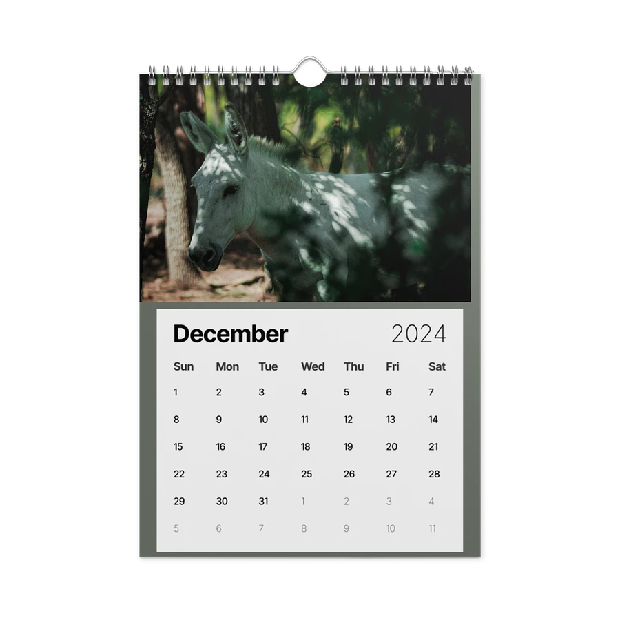 Alveus 2024 Calendar product image (9)