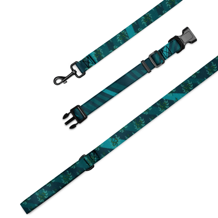 Chromatic Waves Pet Collar & Leash Set product image (1)