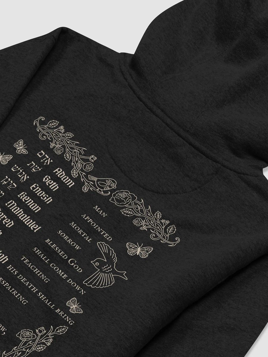 Adam to Noah Genealogy Hoodie product image (10)