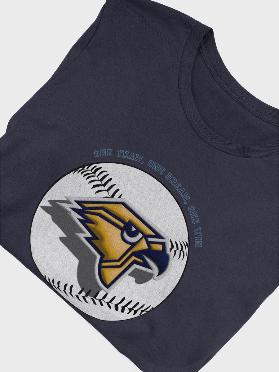 One Team, One Dream, One Win! Hillsdale T-Shirt product image (14)