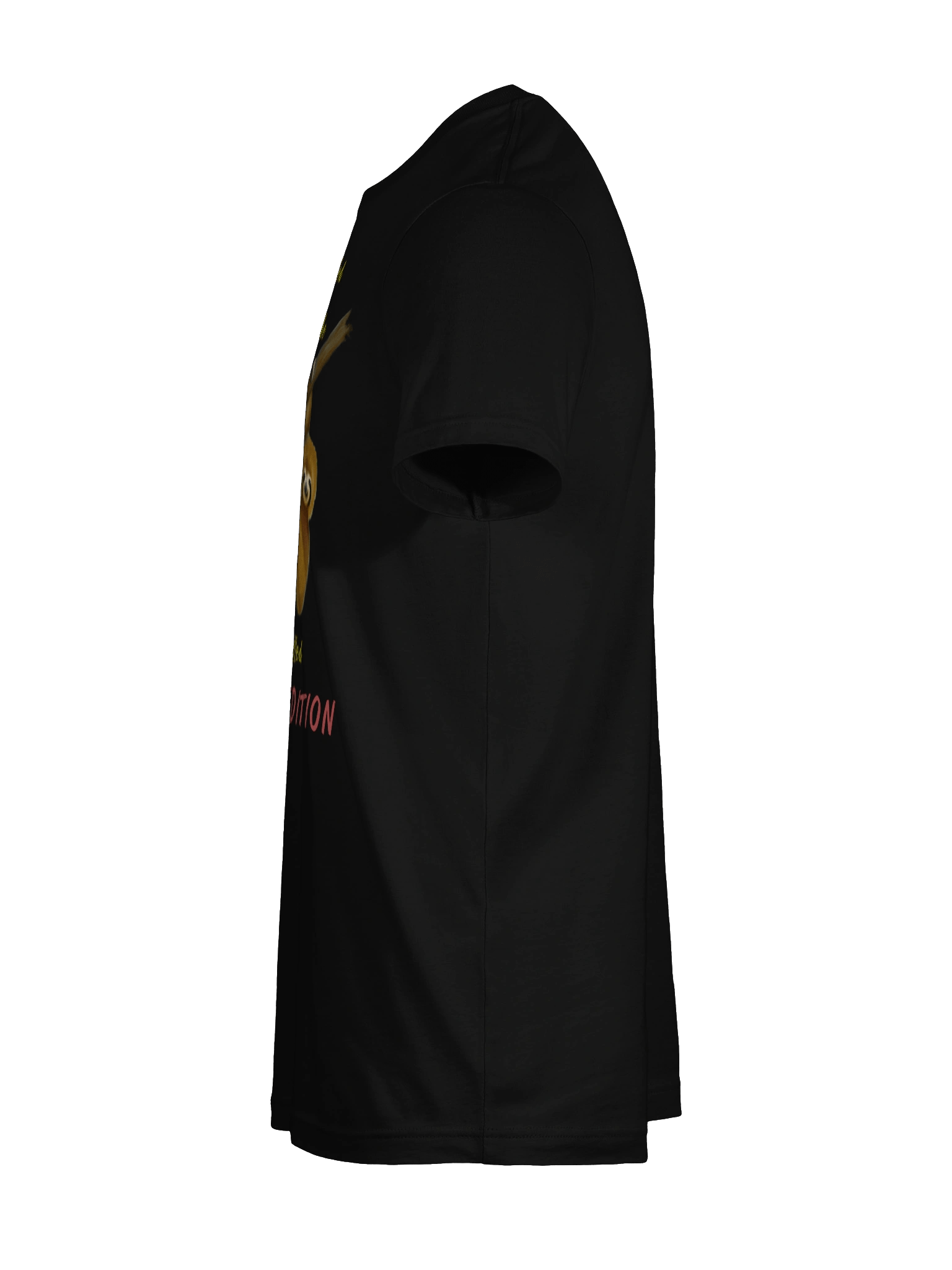 Limited Edition Sloth Graphic Tee product image (11)