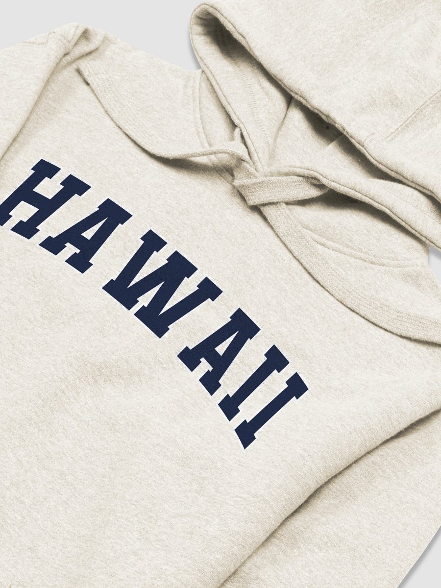 Hawaii Vintage Stylish Unisex Premium Hoodie product image (2)