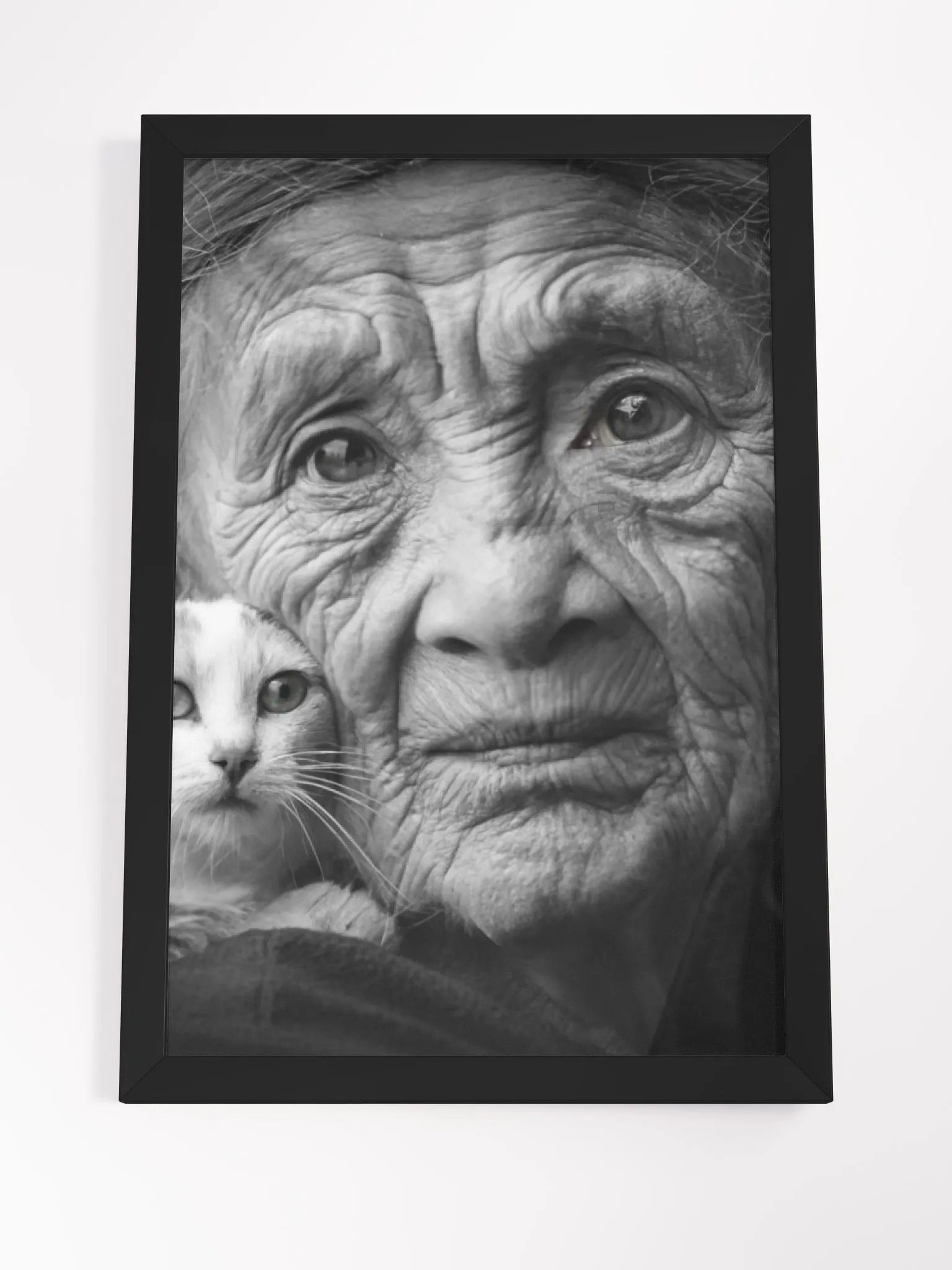 Timeless Grace: Wrinkles of Wisdom and the Warmth of Feline Companionship product image (16)