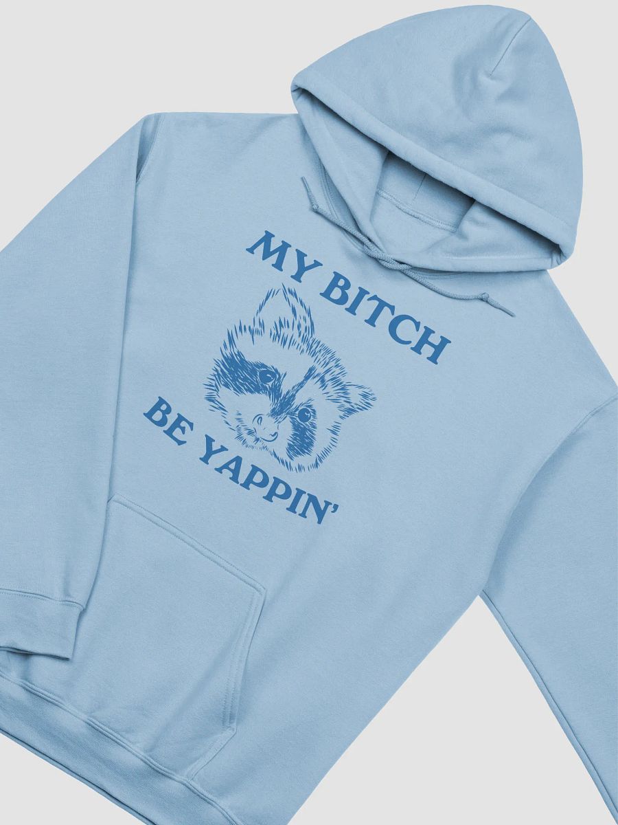 My bitch be yappin' Hoodie product image (2)