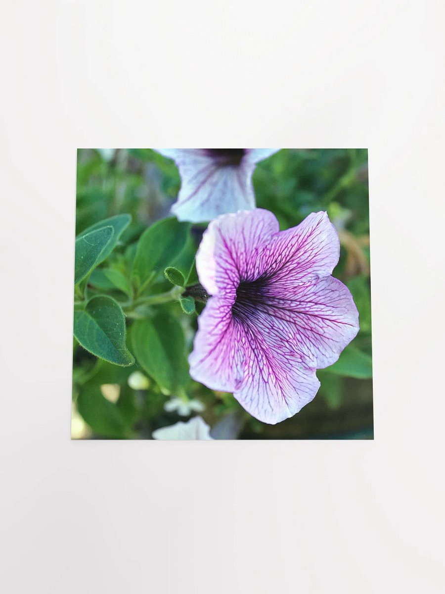 Purple Flower product image (20)