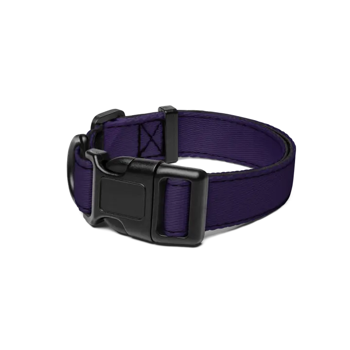 Gratzockers-BFF-Hundehalsband 