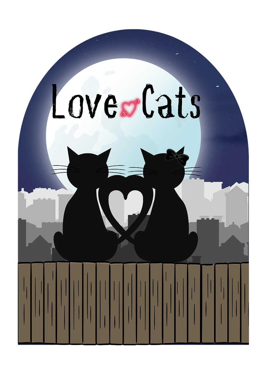 LOVE CATS - TEE product image (5)